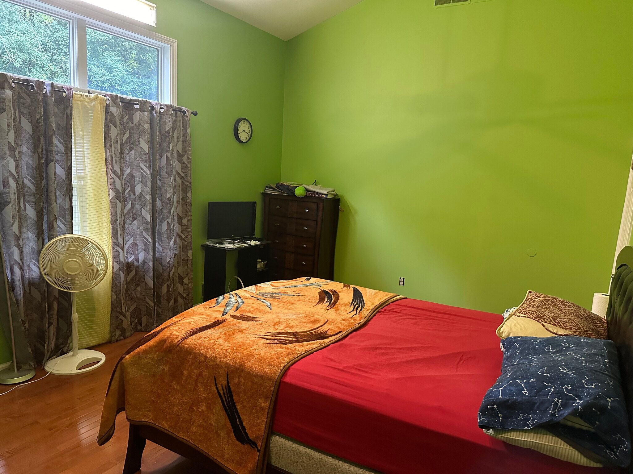 Master Bedroom pic1 - 62 Brittany Cir