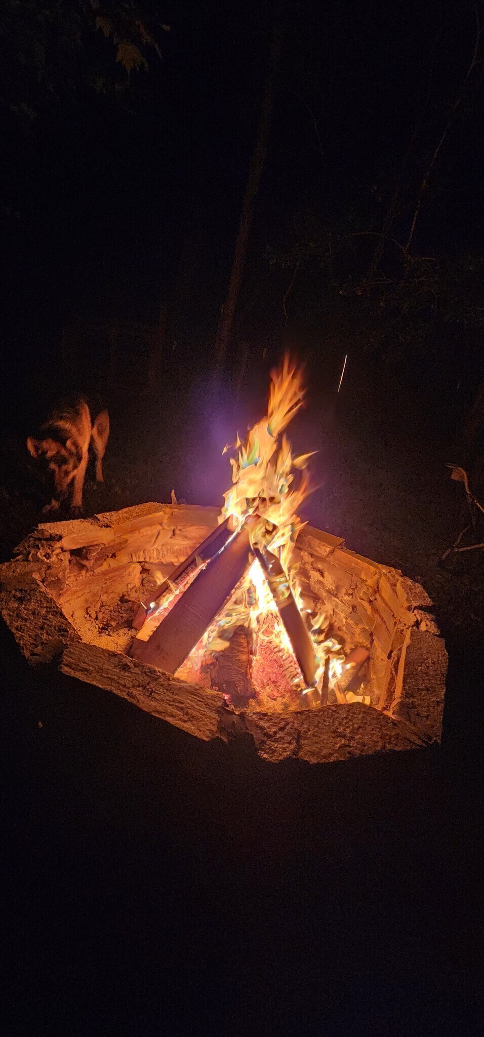 Building Photo - 2201 Hundley Rd