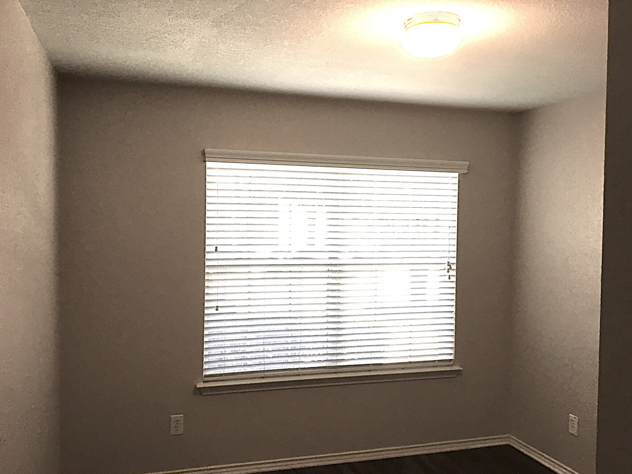 Building Photo - 10123 Del Lago Ct