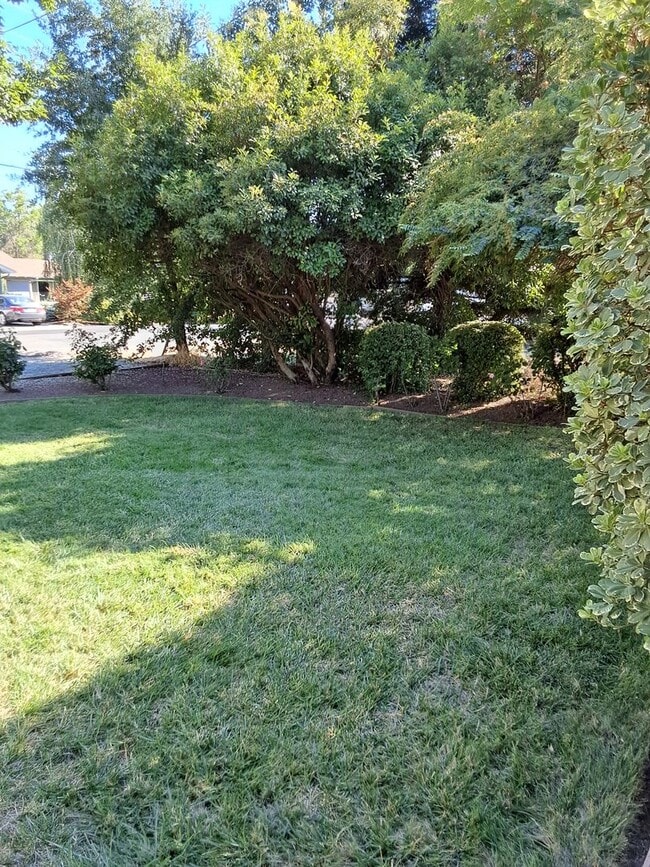 Building Photo - 3 bed/1.5 bath on large corner lot