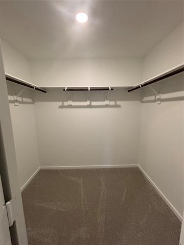 Building Photo - 716 Haskell Dr