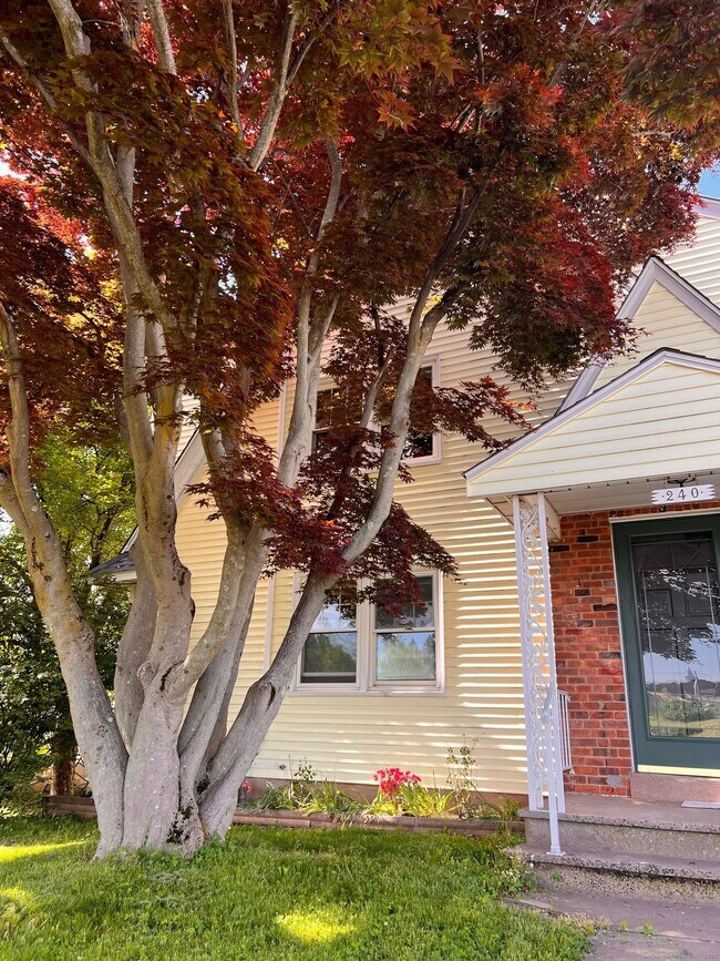 Primary Photo - 240 Cross St