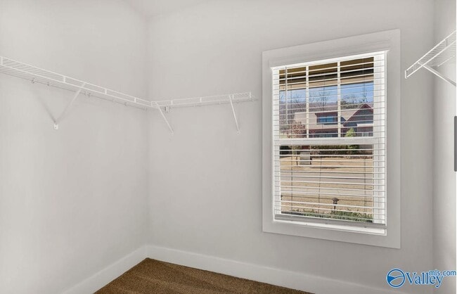 Building Photo - 1524 Trek St