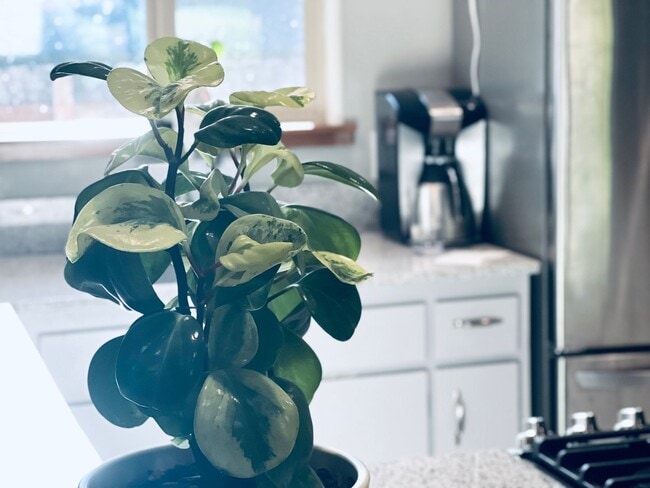 Building Photo - 2 bedroom, 2 bath short term 3-6 month ren...