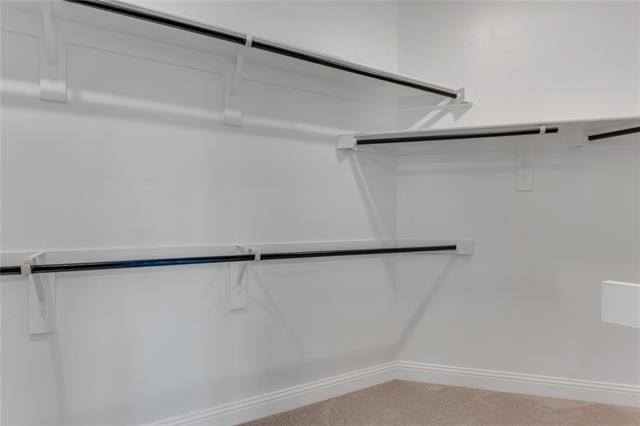 Building Photo - 1631 Cavalli Dr