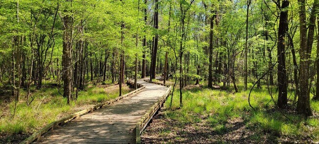 Building Photo - 84 Alston Dr