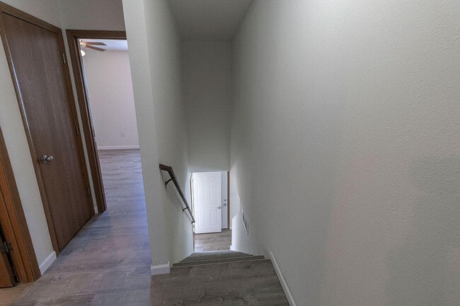 Building Photo - 1625 Bold Ruler Ct