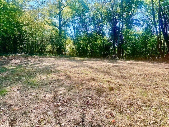 Backyard - 1234 Paradise Hill Rd