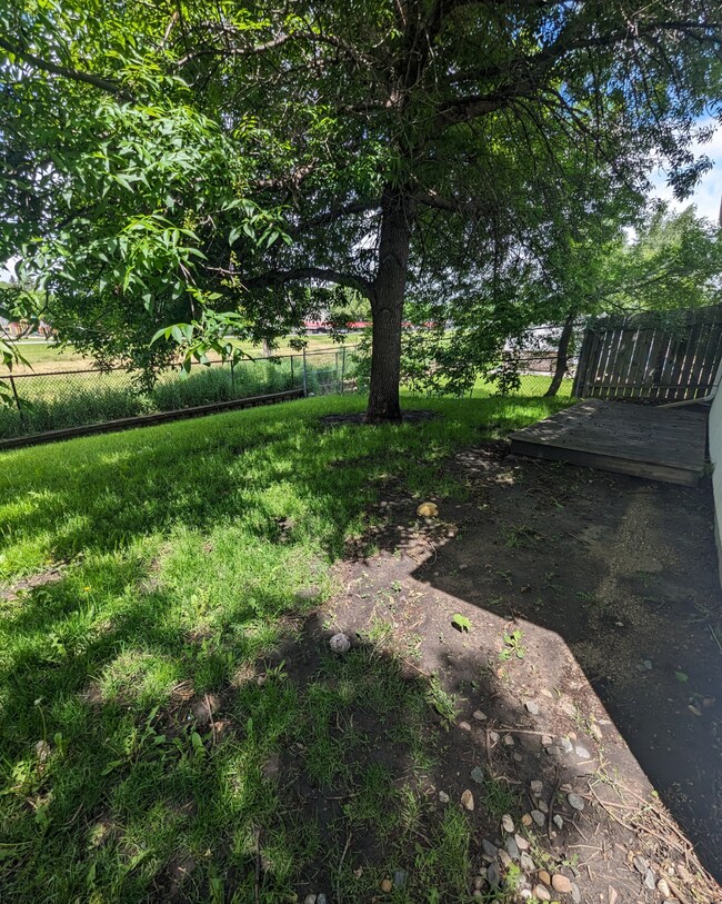 shared back yard w upper unit - 715 21st St S