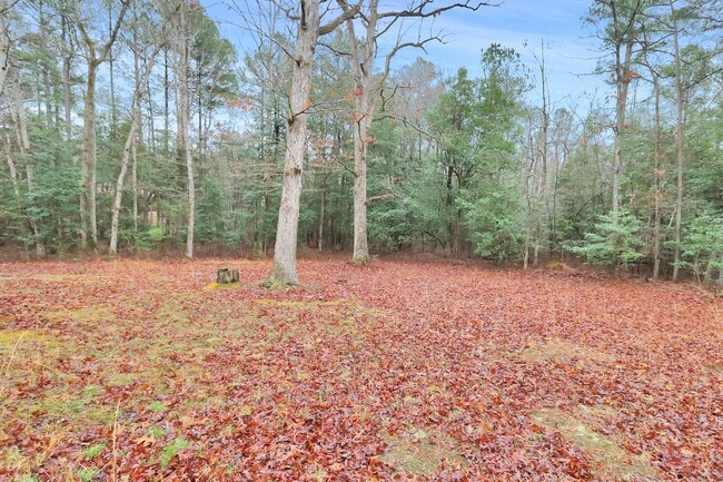 Building Photo - Country Living in New Kent County!