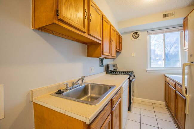 Building Photo - Lovely 2 BR/1 BA Apartment in Barry Farms!