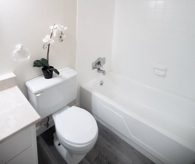 Building Photo - Beutiful 1/1  Condo x Rent in Winter Park ...