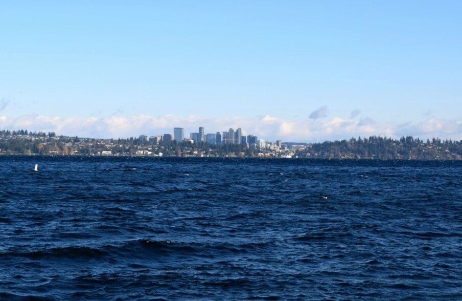 View of Bellevue from Dock - 334 Lakeside Ave S