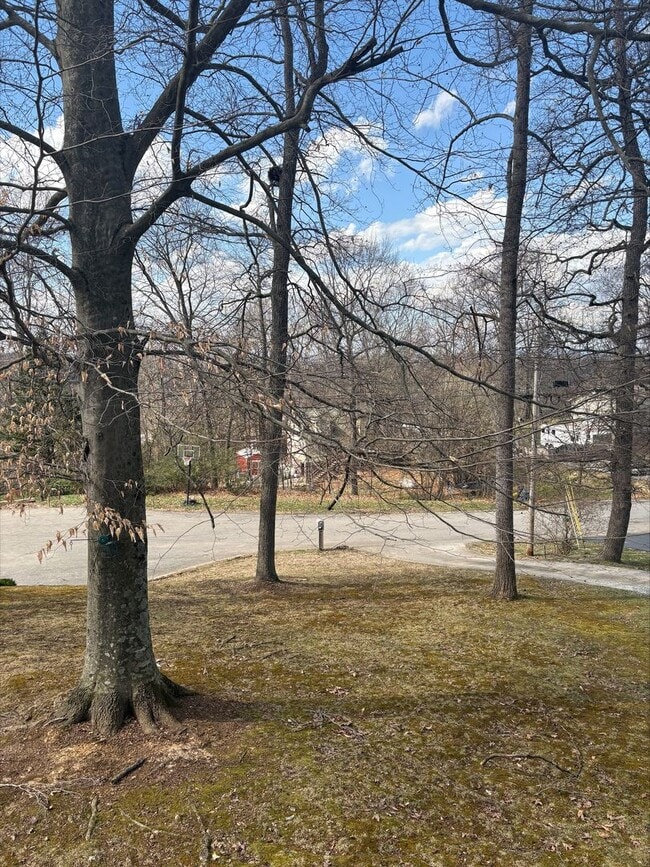 Building Photo - 3 Bedroom 2 Bath in Gray