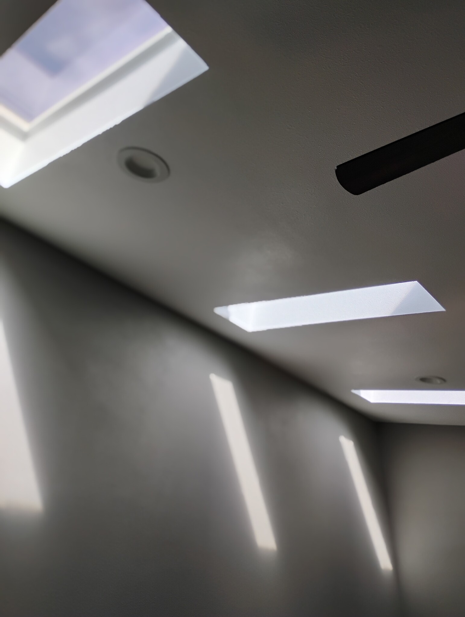 Building Photo - 3608 Balfour Ln