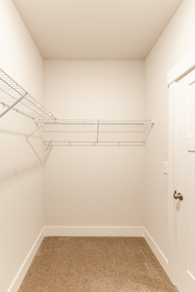 Building Photo - 125 Caspian Ln