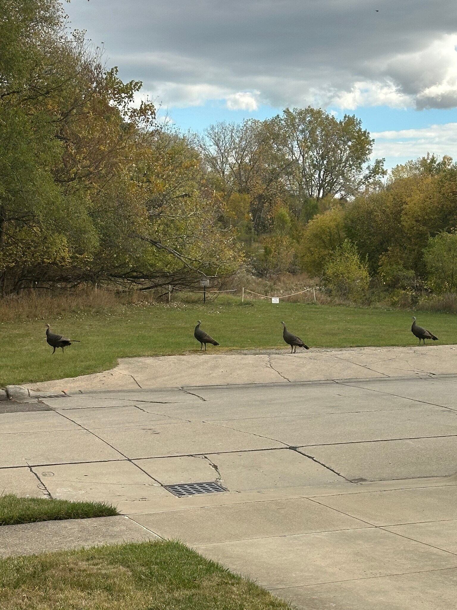 Building Photo - 32105 Knapp Ave