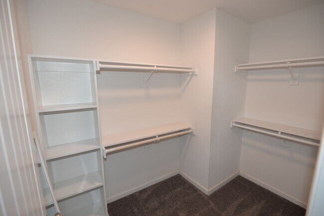 Building Photo - Spacious Single Family w/ Two Master Suites