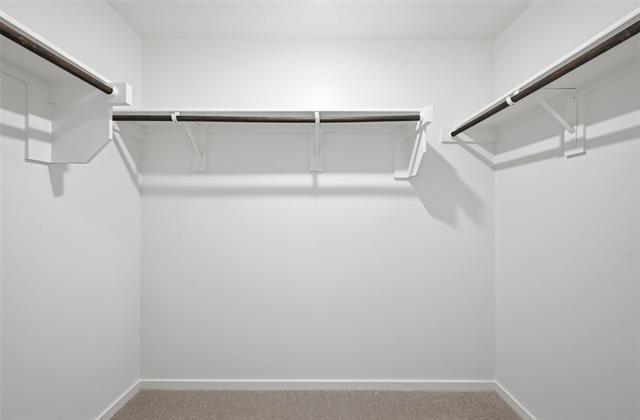 Building Photo - 1037 Raintree Rd