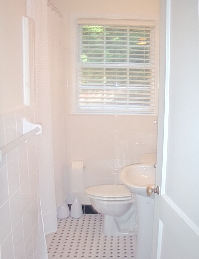 Charming Bathroom - 1332 Euclid Ave NE