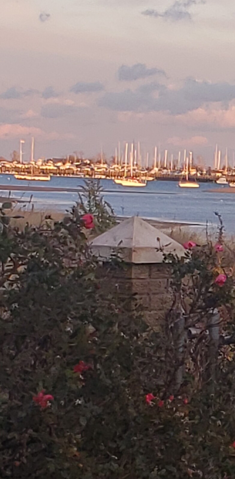 Building Photo - 24 Littlefield Ave