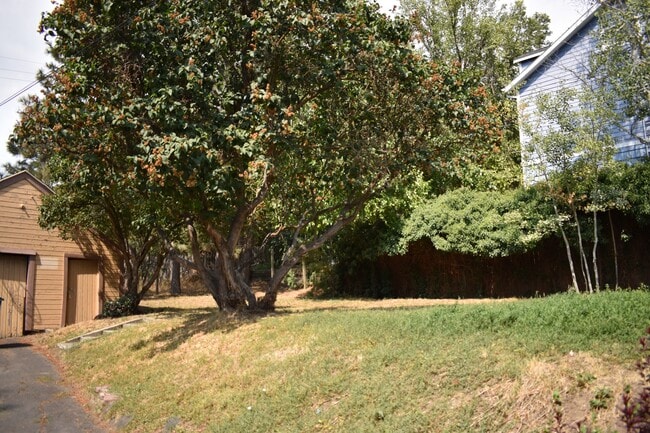 Building Photo - 229 Cherry St