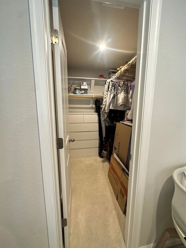 Building Photo - New construction 3 bedroom, 3.5 bathroom c...