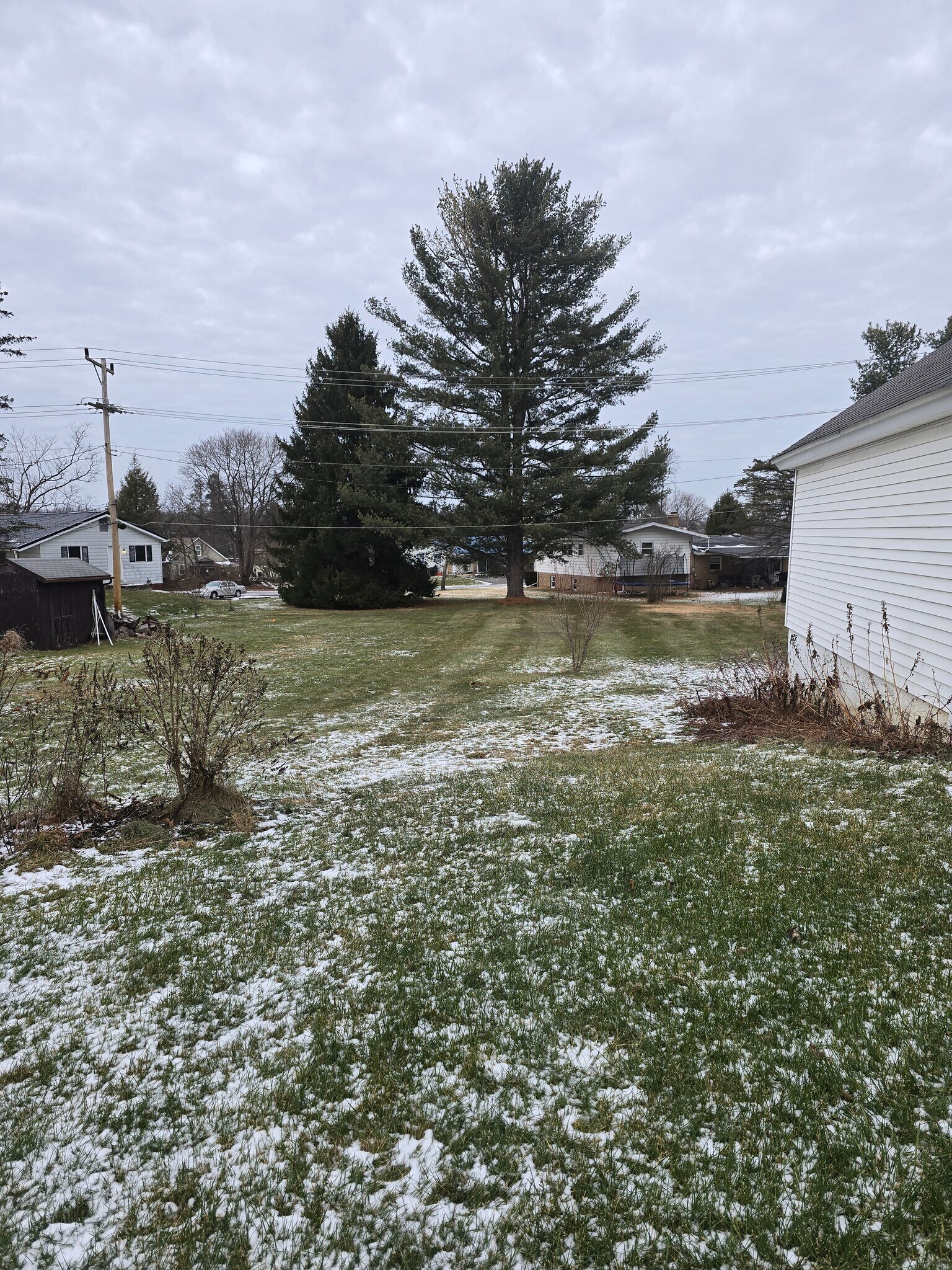 Back yard - 165 S Main St