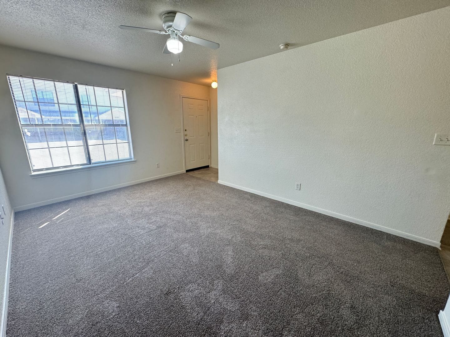 Building Photo - 3701 Ys Pak Ct
