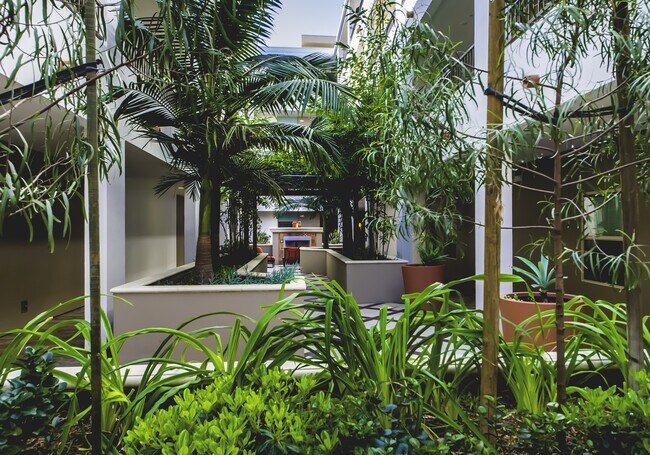 Courtyard - Oasis at Lake Encino