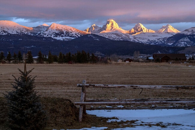 Building Photo - 4535 Roxanne St