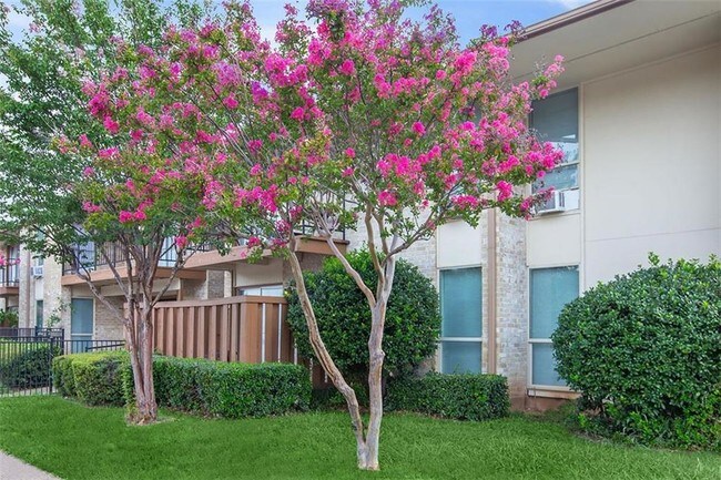 Building Photo - 2704 S Cockrell Hill Rd