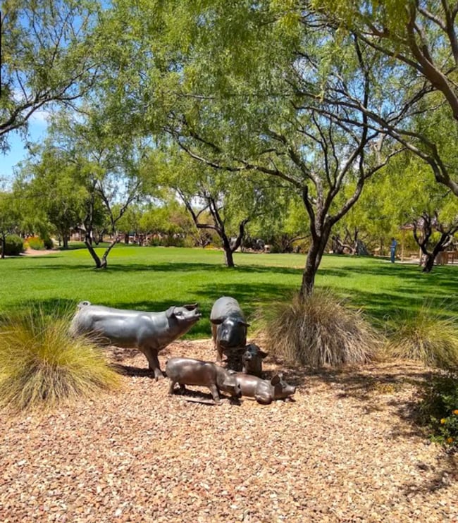 Building Photo - Stunning 4-bedroom, 2-bathroom home located in the vibrant community of Sahuarita, AZ