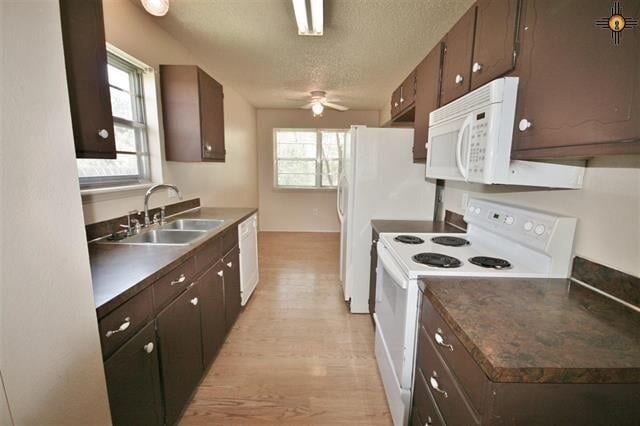 Building Photo - Spacious Newly Remodeled 3 Bed! Sandia Sch...
