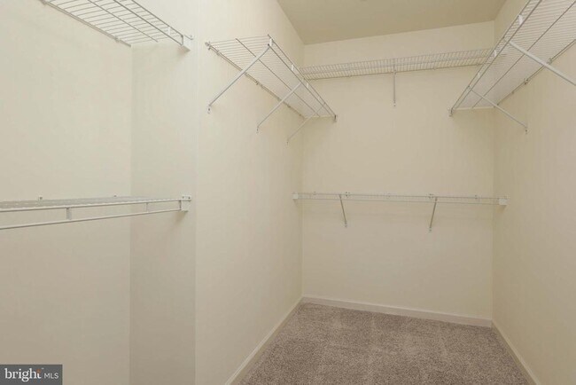 Building Photo - 11 Wedgewood Ct