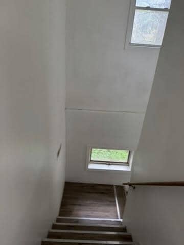 Building Photo - 244 Pepecton Holw