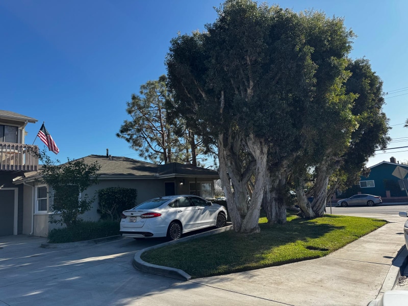 Building Photo - 1800 Viola Pl