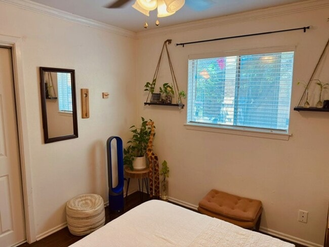 Building Photo - Coming soon....Super Cute Stylish Home w/ Modern Upgrades