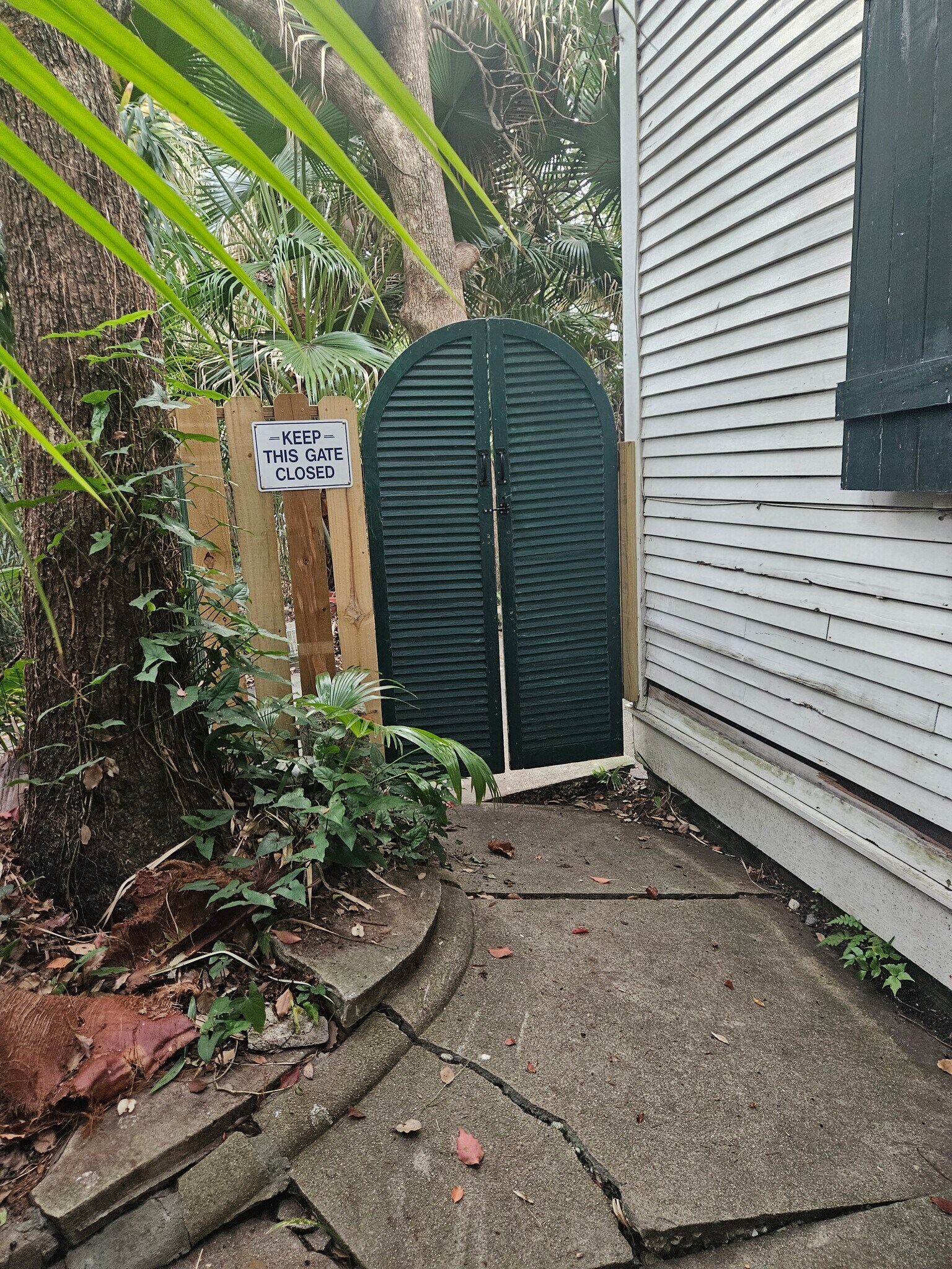 Gate leading to the rear yard. - 2326 Esplanade Ave