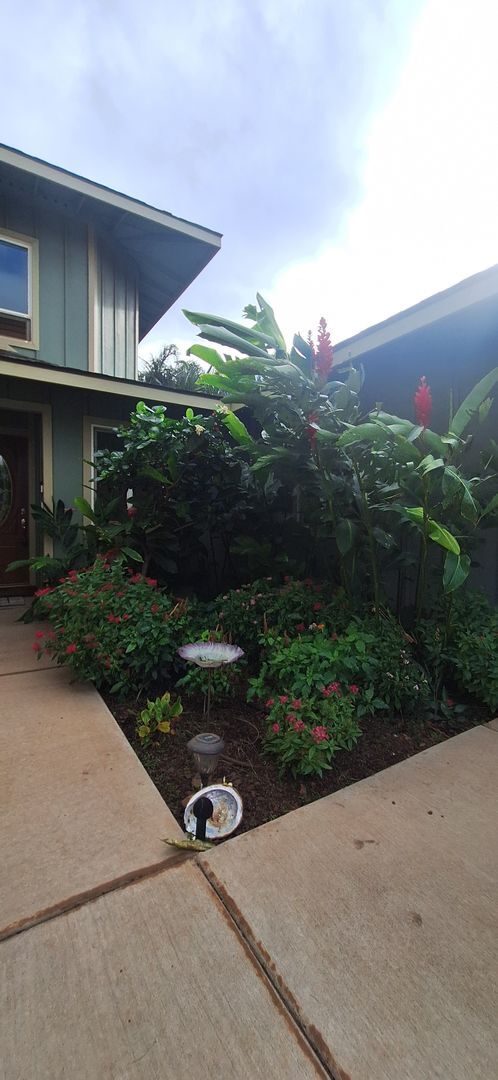 Building Photo - Honu Alahele 1 Bed 1 Bath
