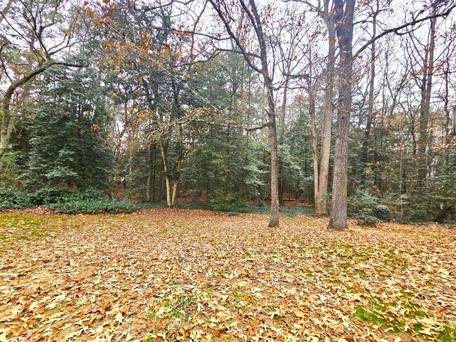 Building Photo - 7533 Carmen Ct