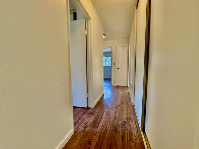 Building Photo - 772 Privet Ct