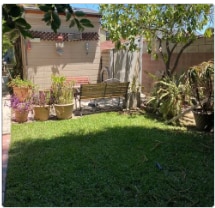 Backyard 2 - 1845 Junipero Ave