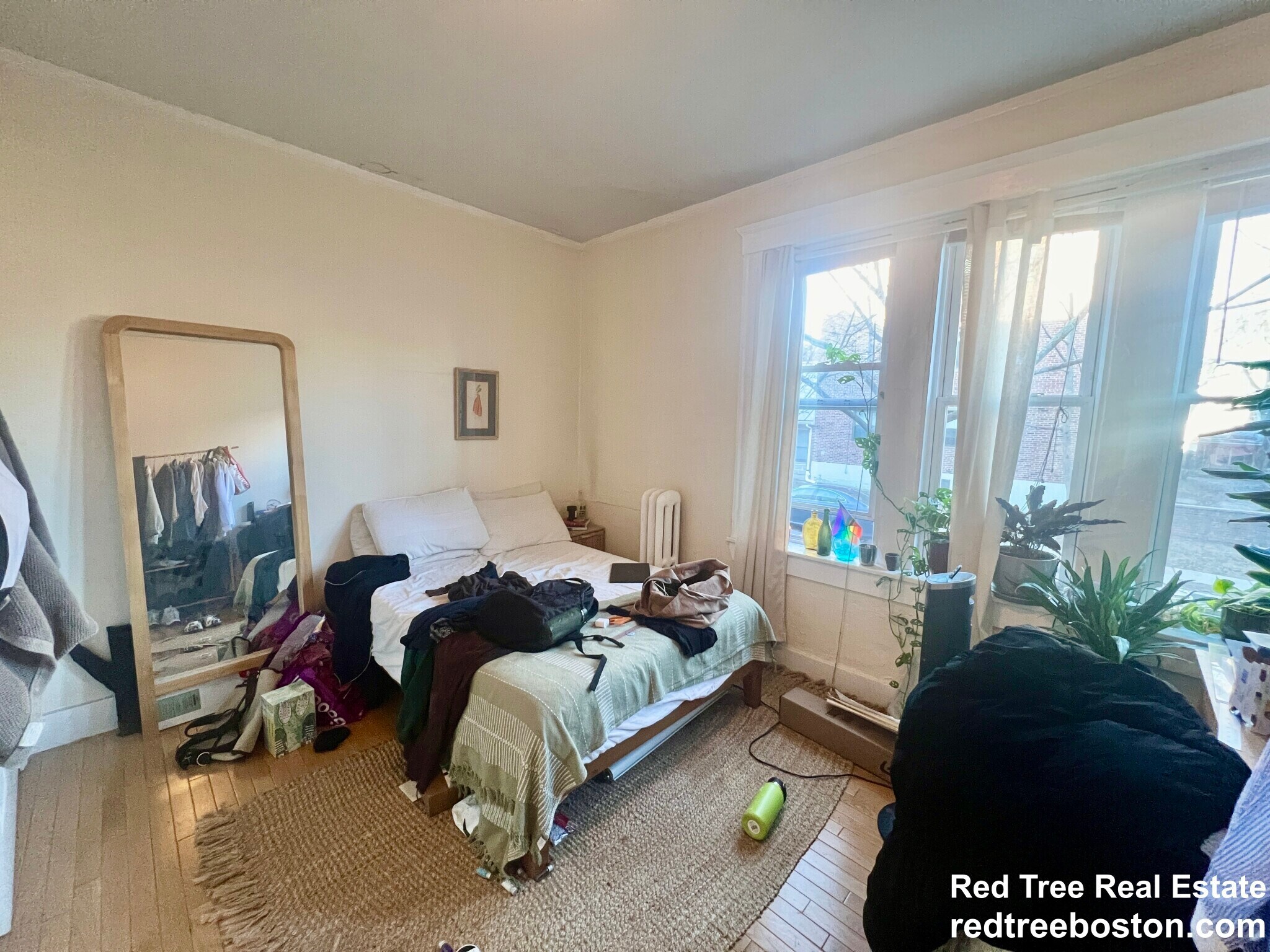 Building Photo - 62 Egmont St