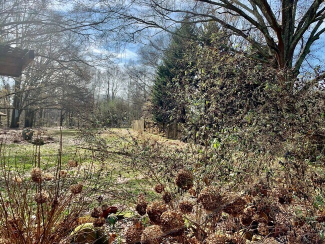 Building Photo - Hiram Rental