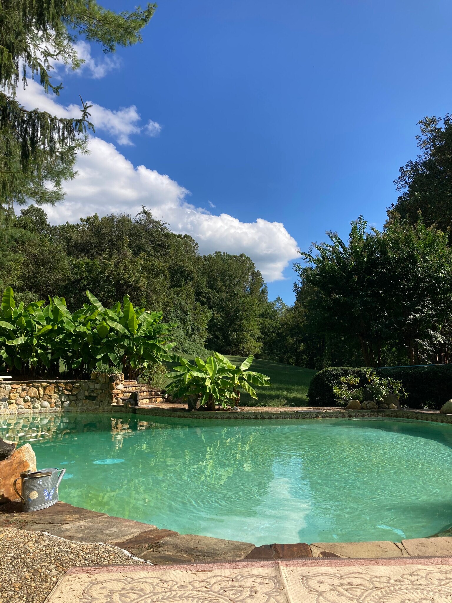 Pool - 5219 Cottonwood Dr
