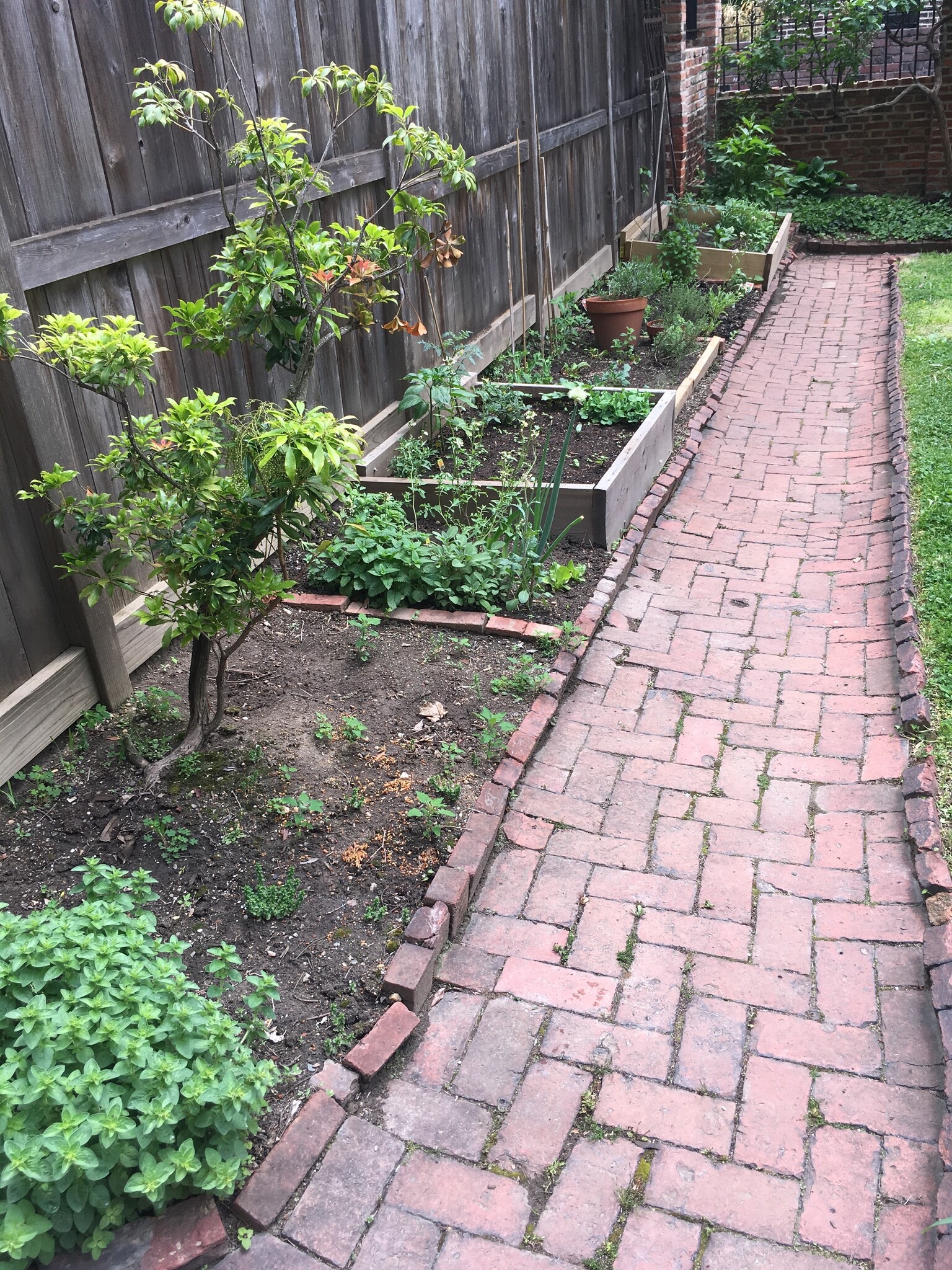 Tenant Garden Plots - 221 W Lanvale St