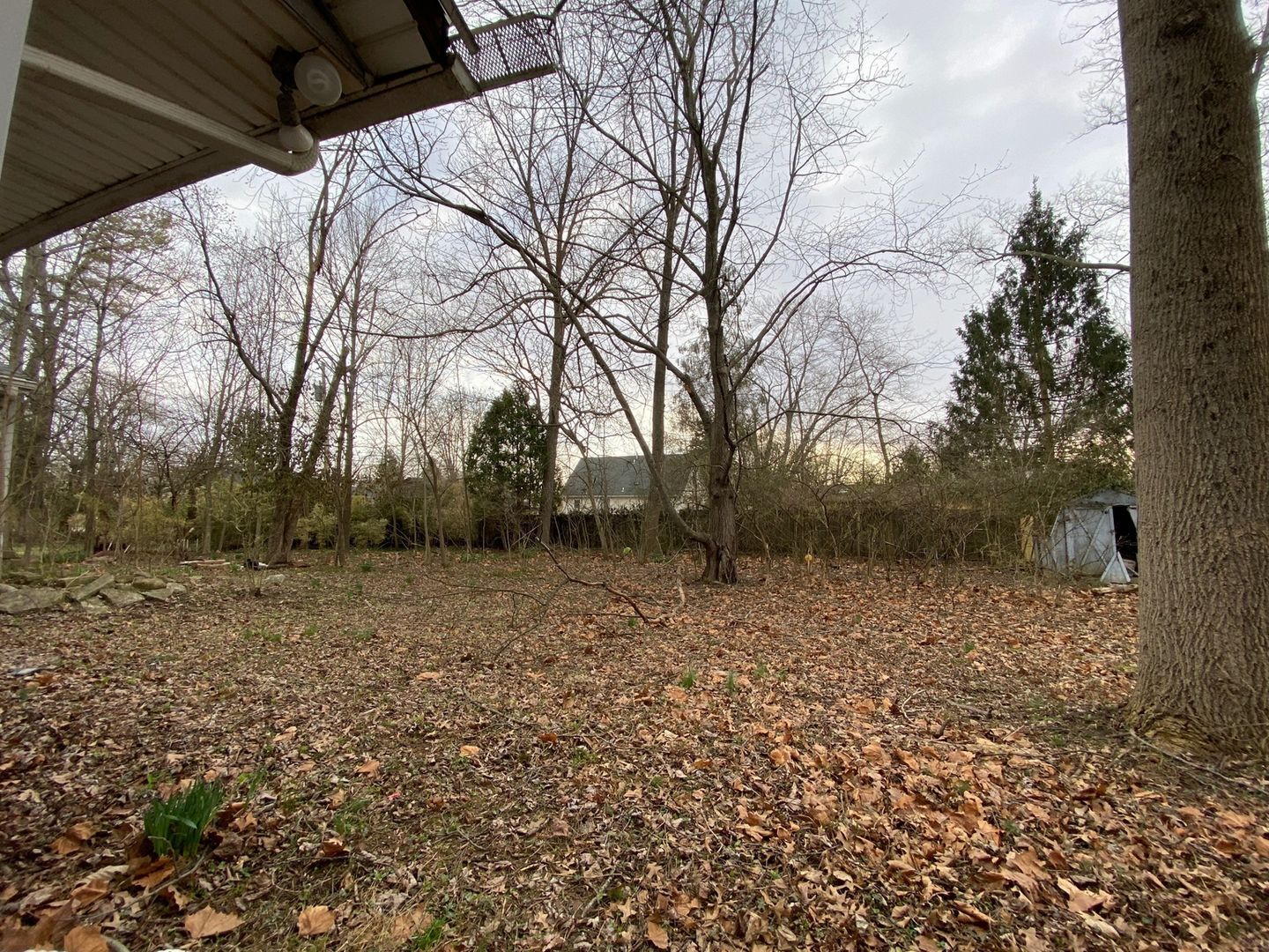 Building Photo - 745 Dayton St