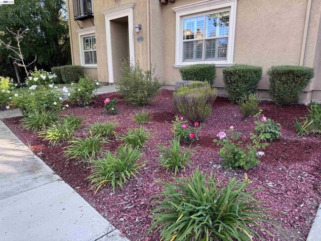 Building Photo - 7875 Kennard Ln