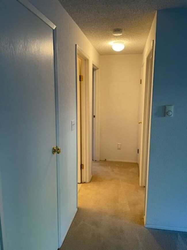 Building Photo - University Place Ground Floor Apartment Ho...